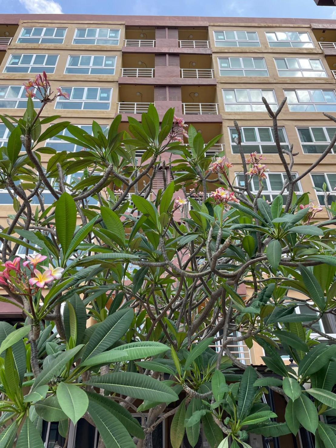 H2Do Hotel Ban Khlong Sanam Phli Kültér fotó